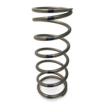 Tapp Primary Clutch Springs