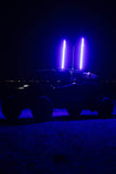 Buggy Whip® Inc. LED Whip