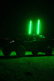 Buggy Whip® Inc. LED Whip