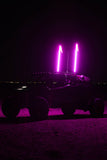 Buggy Whip® Inc. LED Whip