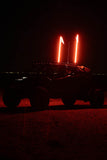 Buggy Whip® Inc. LED Whip