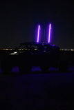 Buggy Whip® Inc. LED Whip